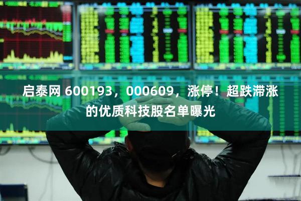 启泰网 600193，000609，涨停！超跌滞涨的优质科技股名单曝光