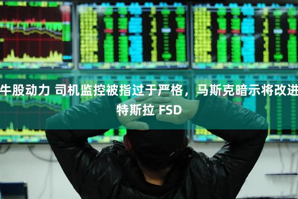 牛股动力 司机监控被指过于严格，马斯克暗示将改进特斯拉 FSD