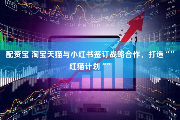 配资宝 淘宝天猫与小红书签订战略合作，打造“”红猫计划“”