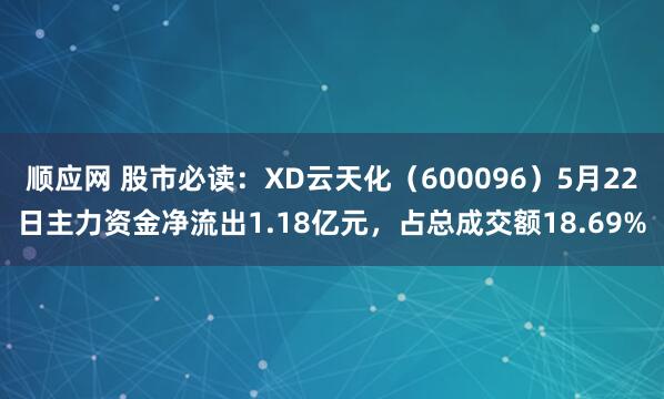顺应网 股市必读：XD云天化（600096）5月22日主力资金净流出1.18亿元，占总成交额18.69%