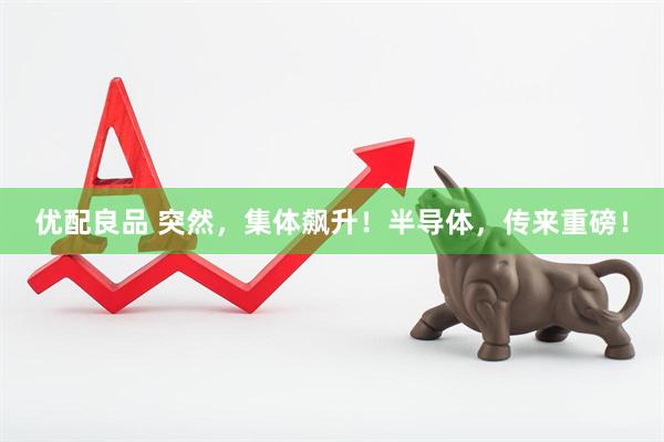 优配良品 突然，集体飙升！半导体，传来重磅！