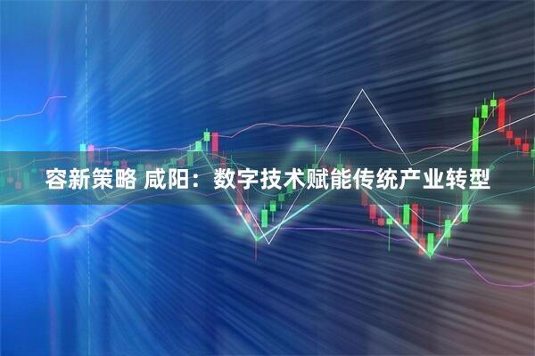 容新策略 咸阳：数字技术赋能传统产业转型