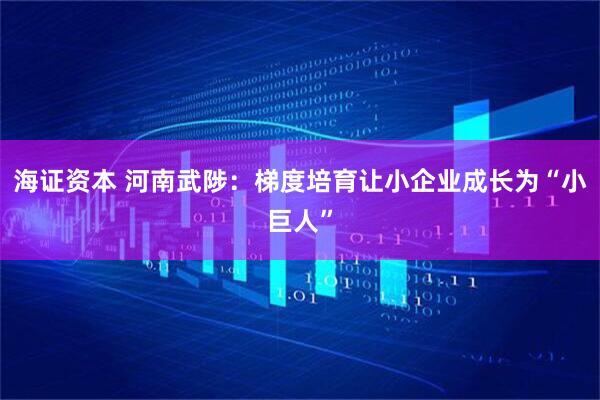 海证资本 河南武陟：梯度培育让小企业成长为“小巨人”