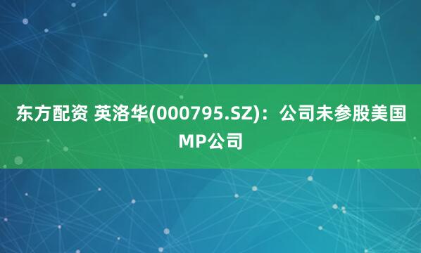 东方配资 英洛华(000795.SZ)：公司未参股美国MP公司