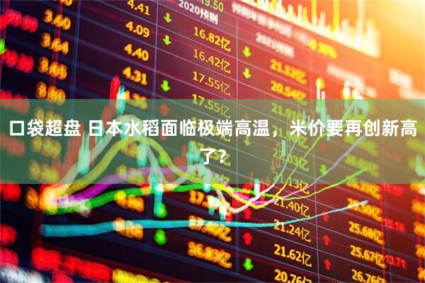 口袋超盘 日本水稻面临极端高温，米价要再创新高了？