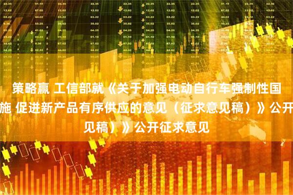 策略赢 工信部就《关于加强电动自行车强制性国家标准实施 促进新产品有序供应的意见（征求意见稿）》公开征求意见