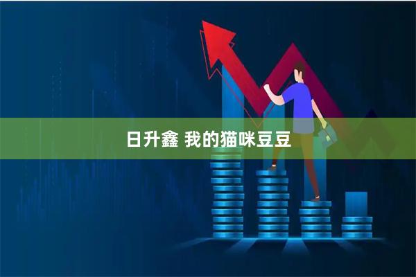 日升鑫 我的猫咪豆豆