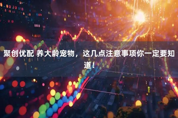 聚创优配 养大龄宠物，这几点注意事项你一定要知道！