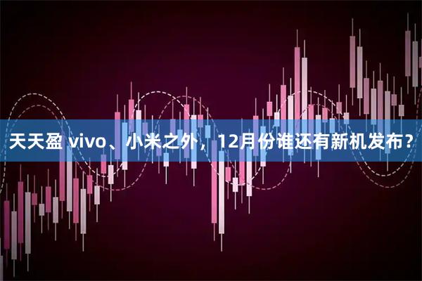 天天盈 vivo、小米之外，12月份谁还有新机发布？