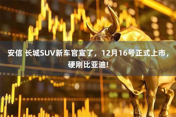 安信 长城SUV新车官宣了，12月16号正式上市，硬刚比亚迪!