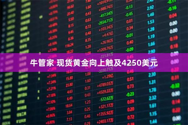 牛管家 现货黄金向上触及4250美元